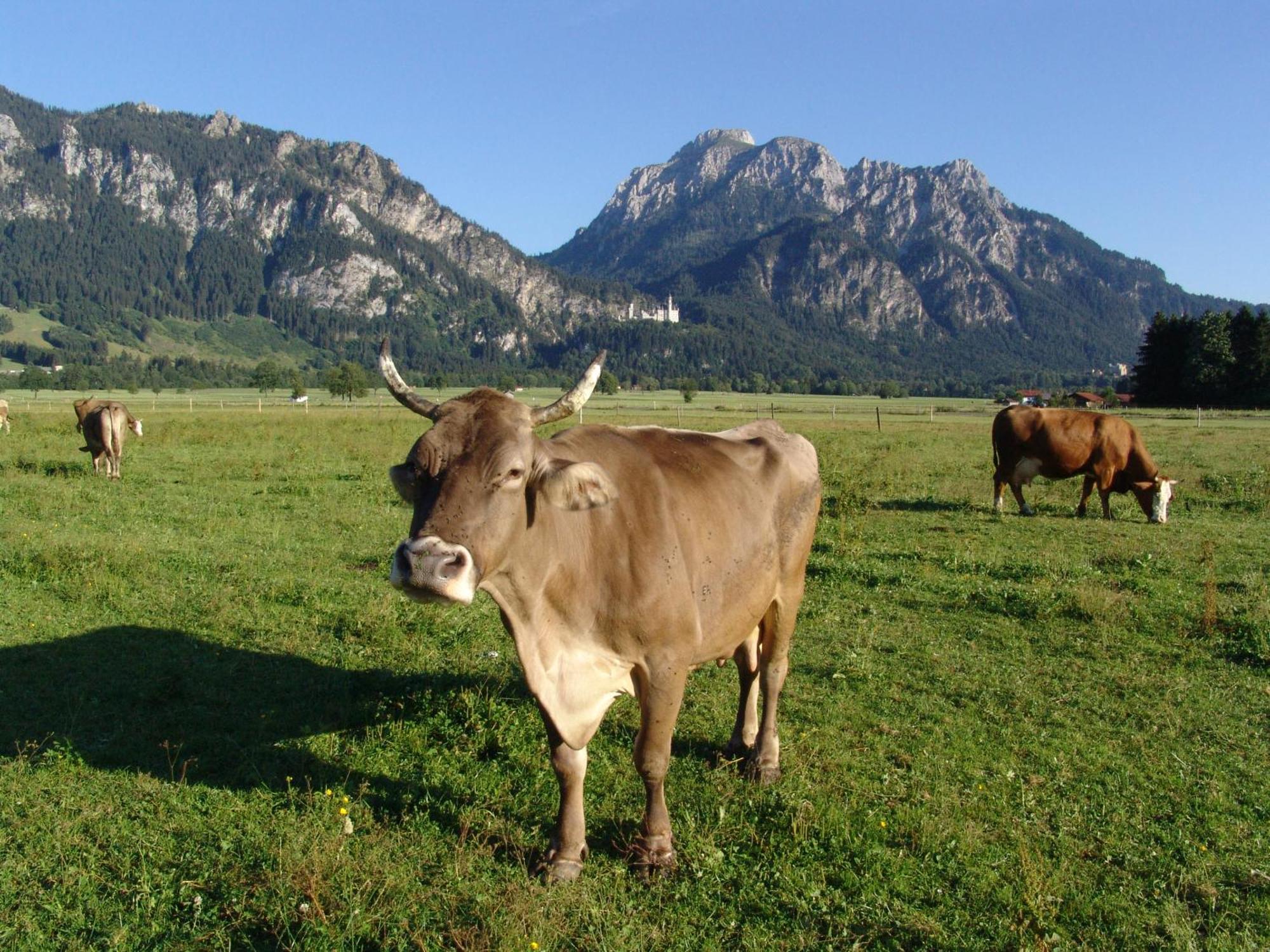 Hintere Schoene Rieden Exterior photo